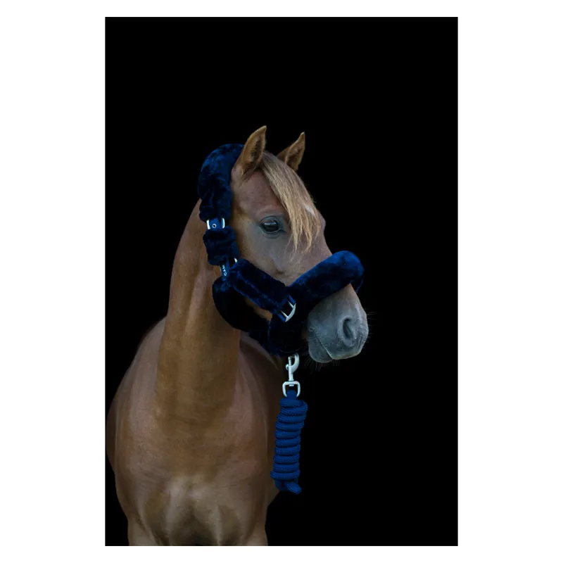 Cameo Deluxe Headcollar in Navy-1